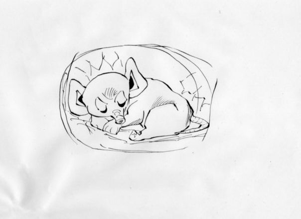 冬眠している生物のイラスト