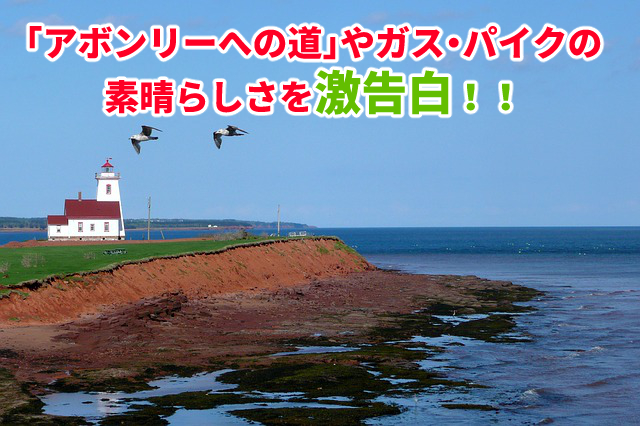アボンリーへの道 ガス・パイク