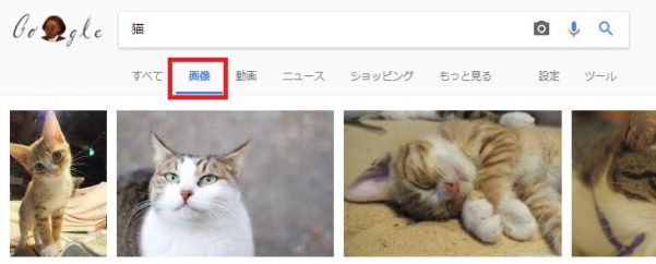 猫の画像がある検索結果