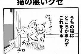 猫の悪いクセ 四コマ漫画