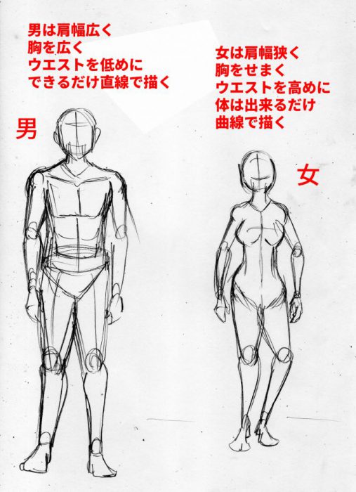 漫画の体の描き方を基礎から攻略 全身が描けない人はまずここから 天才漫画アート芸術家