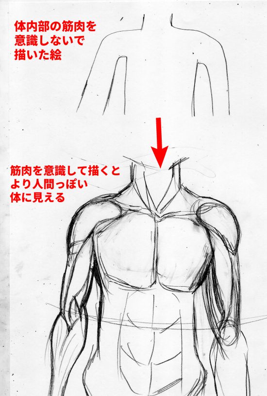 漫画の人体の描き方 筋肉と骨格