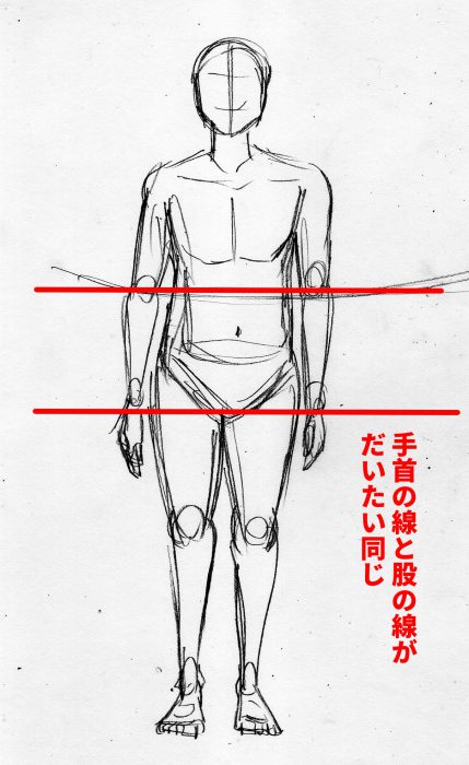 漫画の体の描き方 アタリ 股の位置