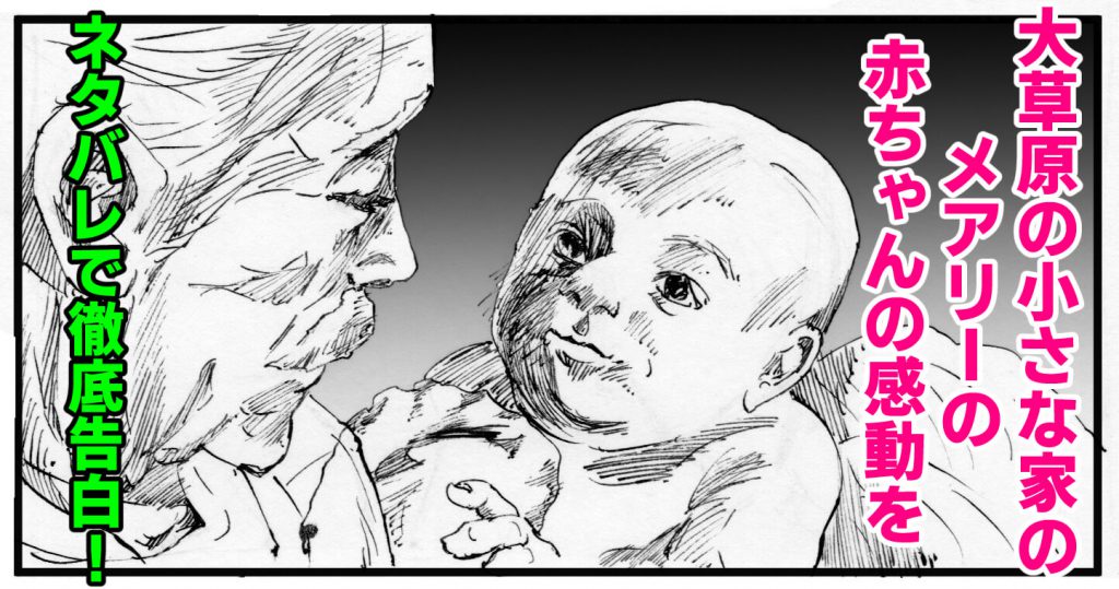 大草原の小さな家のメアリーの赤ちゃんの感動をネタバレで徹底告白 天才漫画アート芸術家