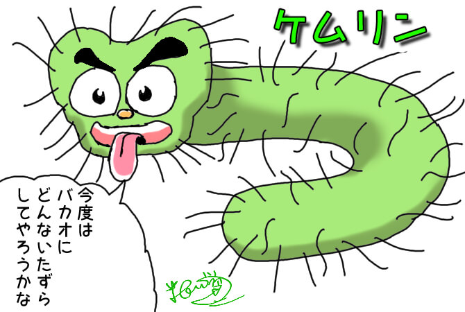 毛虫,キャラクター