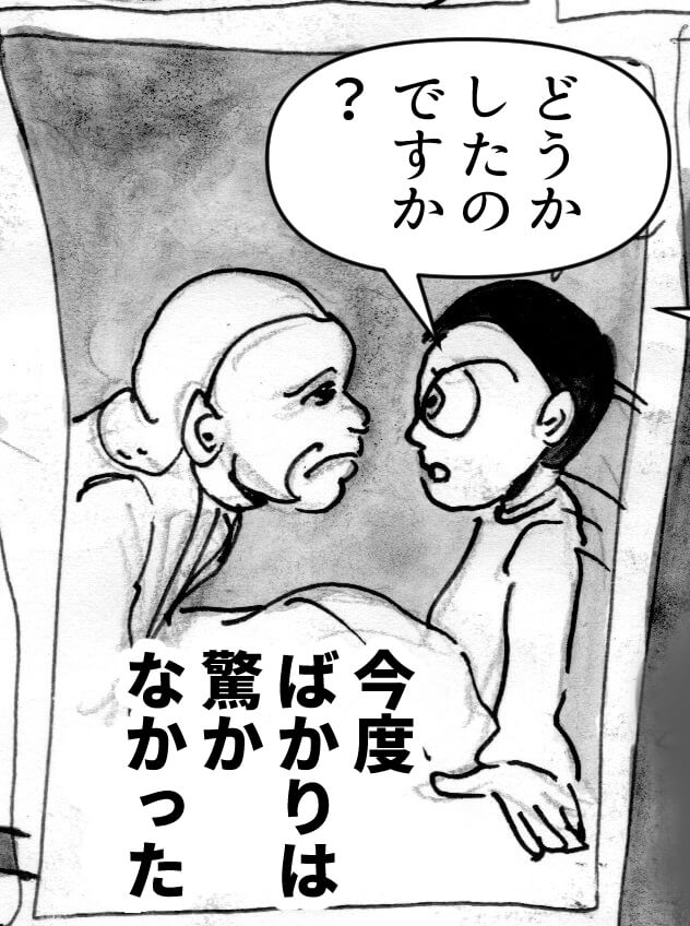 幻想の森にいたおばあさん,漫画