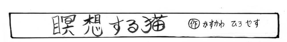 猫,瞑想