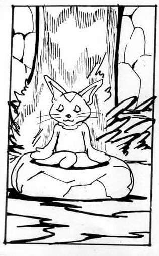 猫,瞑想