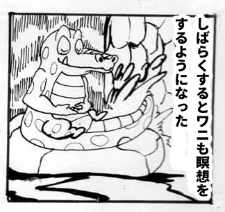 猫,瞑想