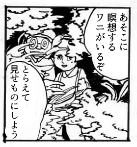 猫,瞑想