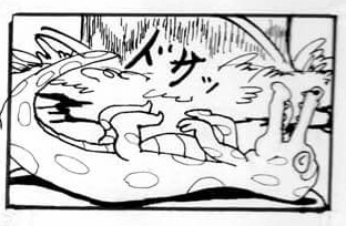 猫,瞑想