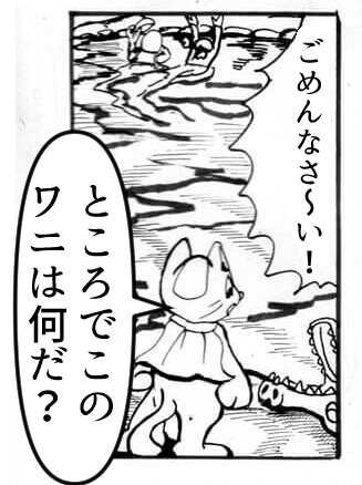 猫,瞑想