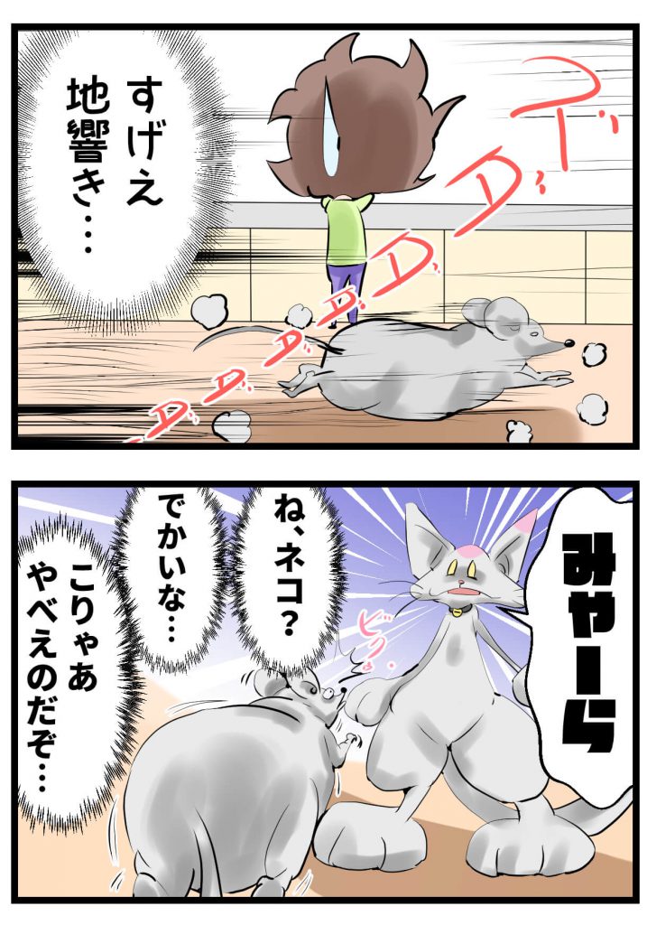 台所,漫画