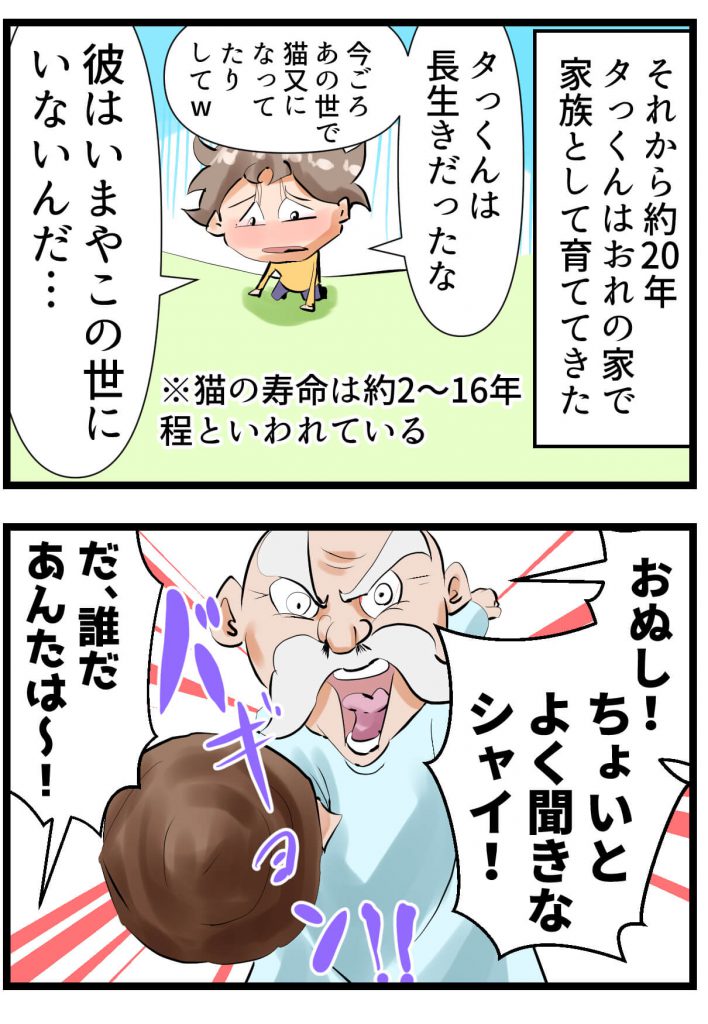 猫,死んだ,漫画
