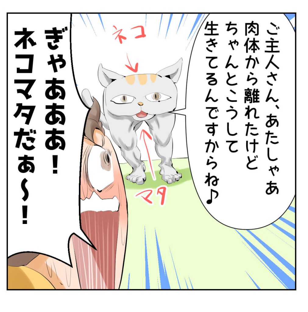 猫,死んだ,漫画