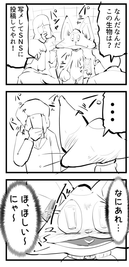 ツイッター,猫,漫画