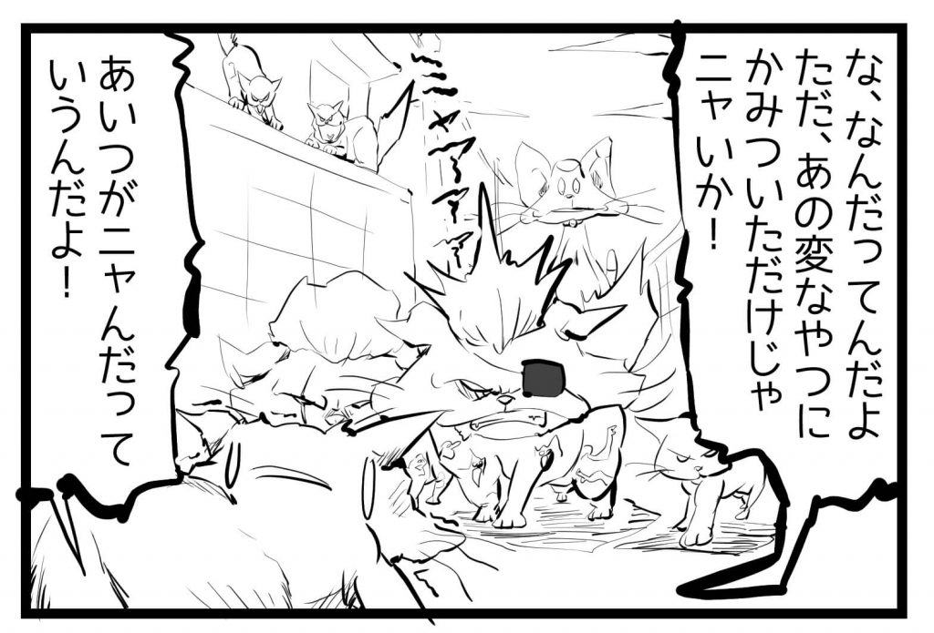ネコ,漫画,ツイッター,チッティ