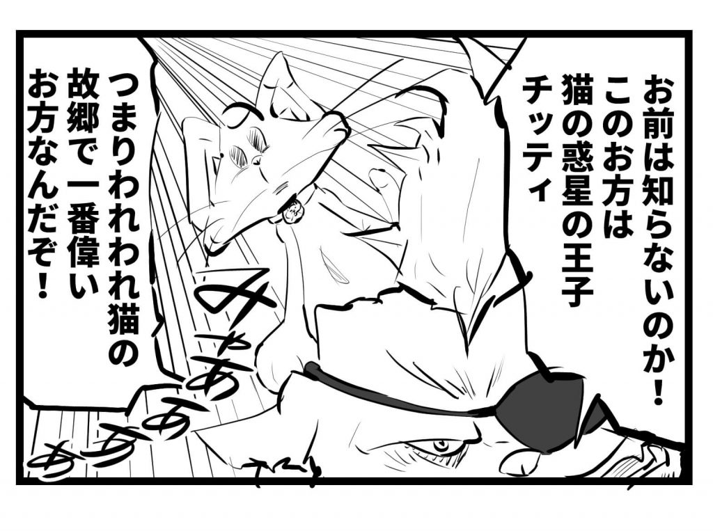 ネコ,漫画,ツイッター,チッティ