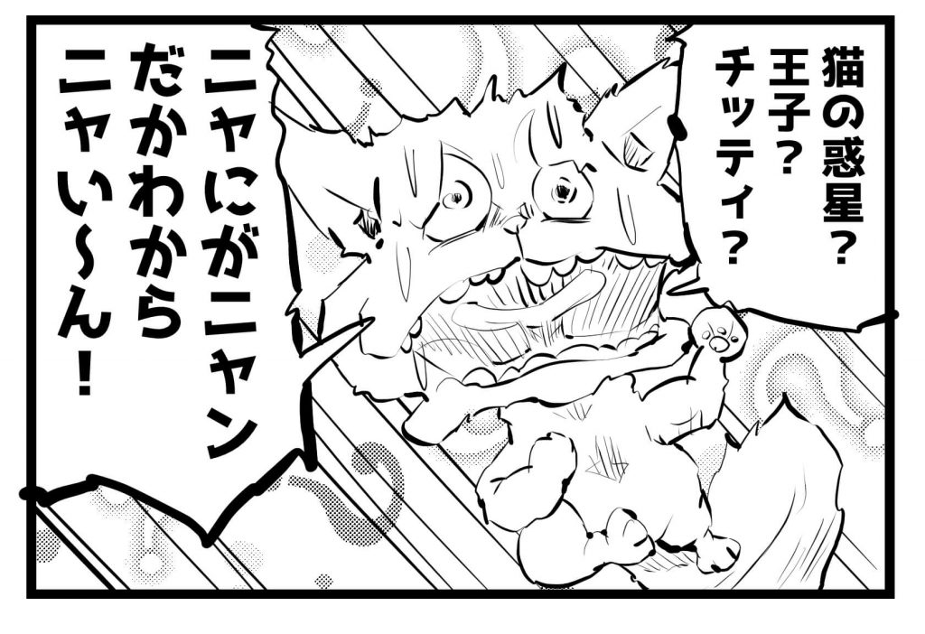 ネコ,漫画,ツイッター,チッティ