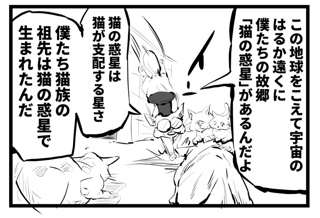 ネコ,漫画,ツイッター,チッティ