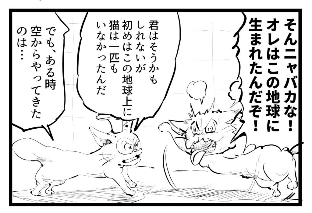 ネコ,漫画,ツイッター,チッティ