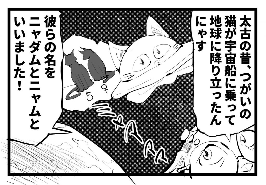 ネコ,漫画,ツイッター,チッティ