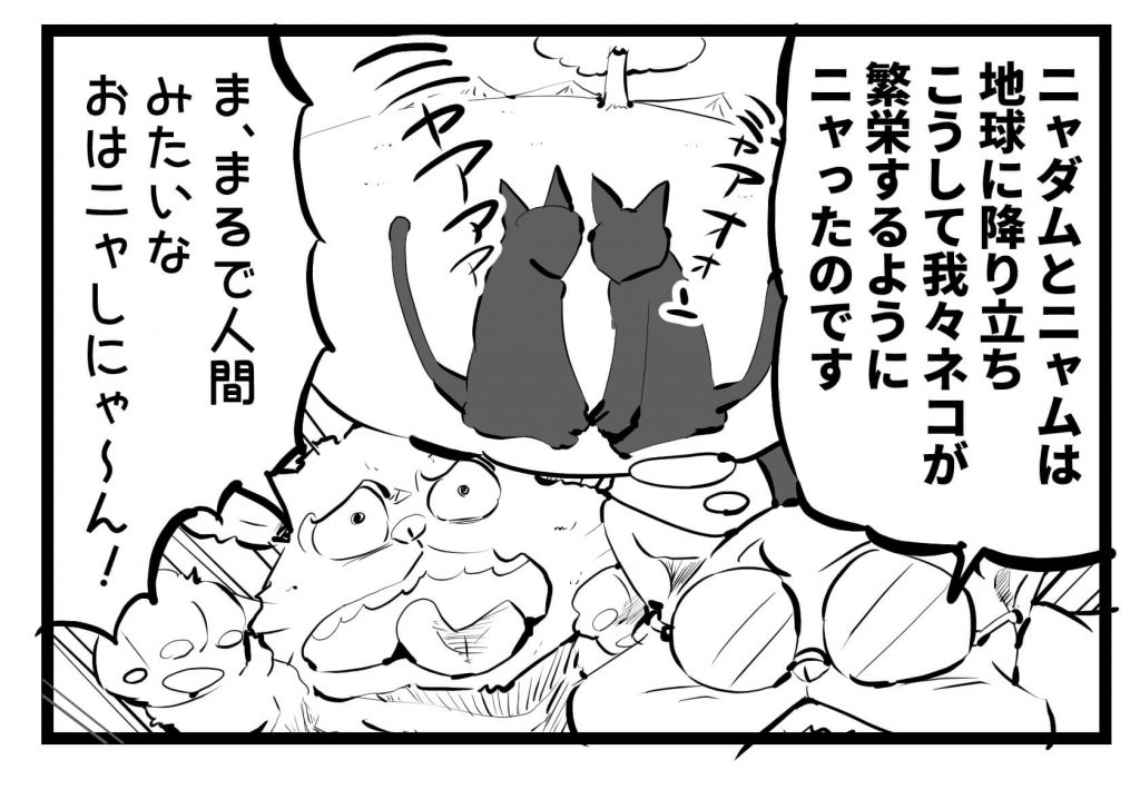 ネコ,漫画,ツイッター,チッティ