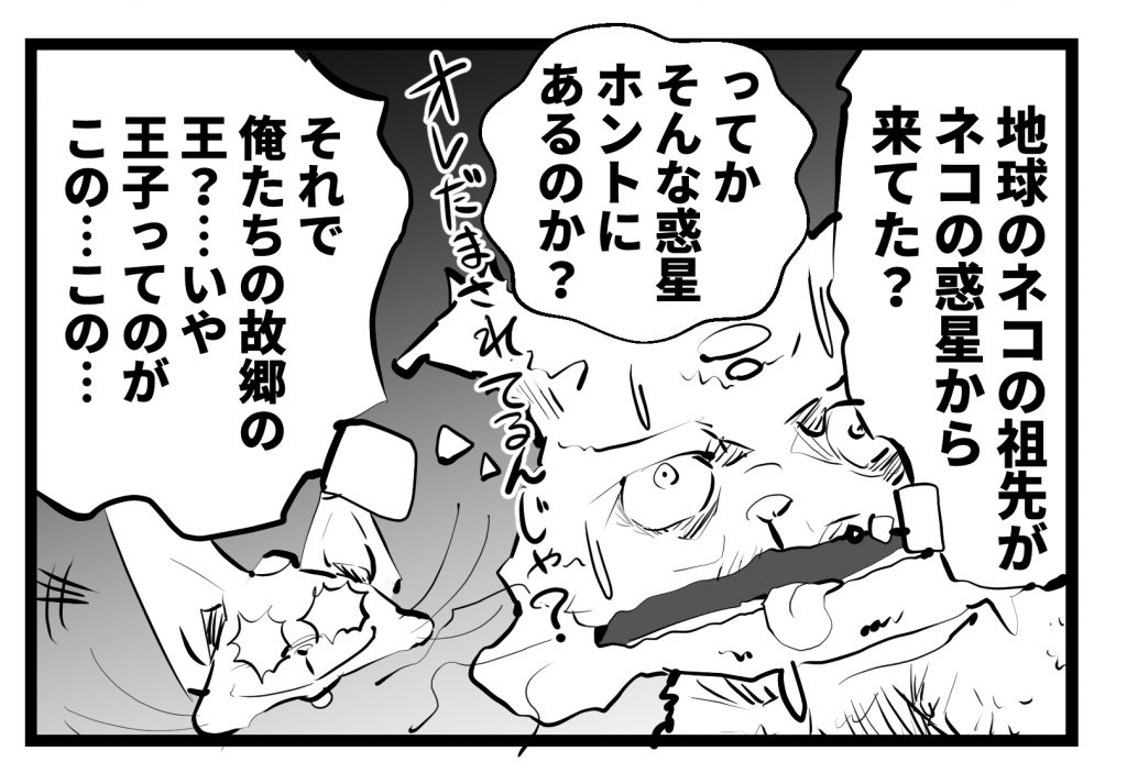 猫,漫画,ツイッター,チッティ