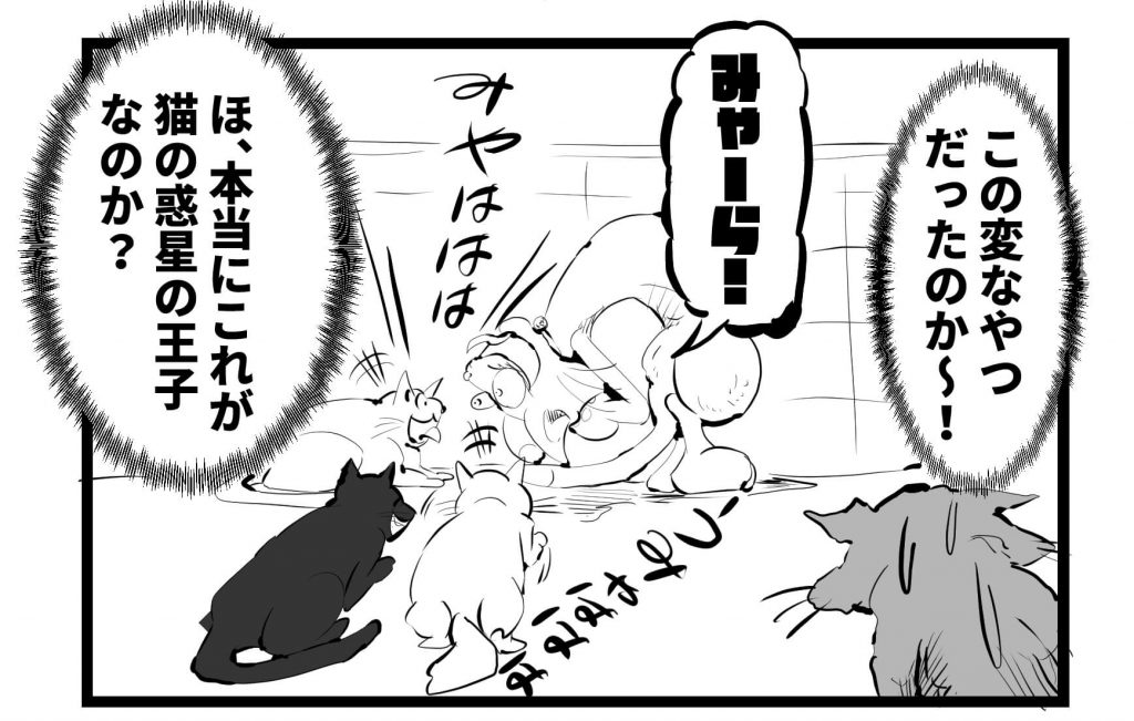 猫,漫画,ツイッター,チッティ