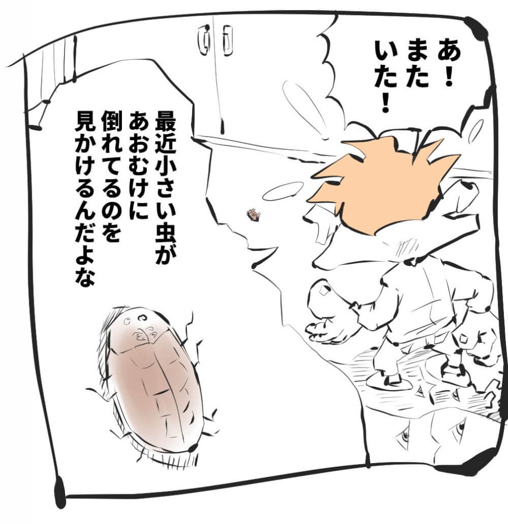 虫,仰向け,漫画