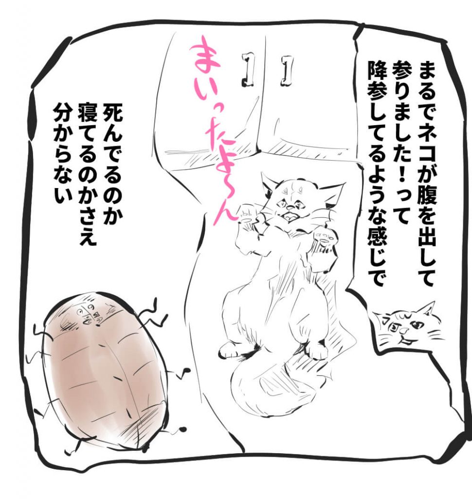 虫,仰向け,漫画