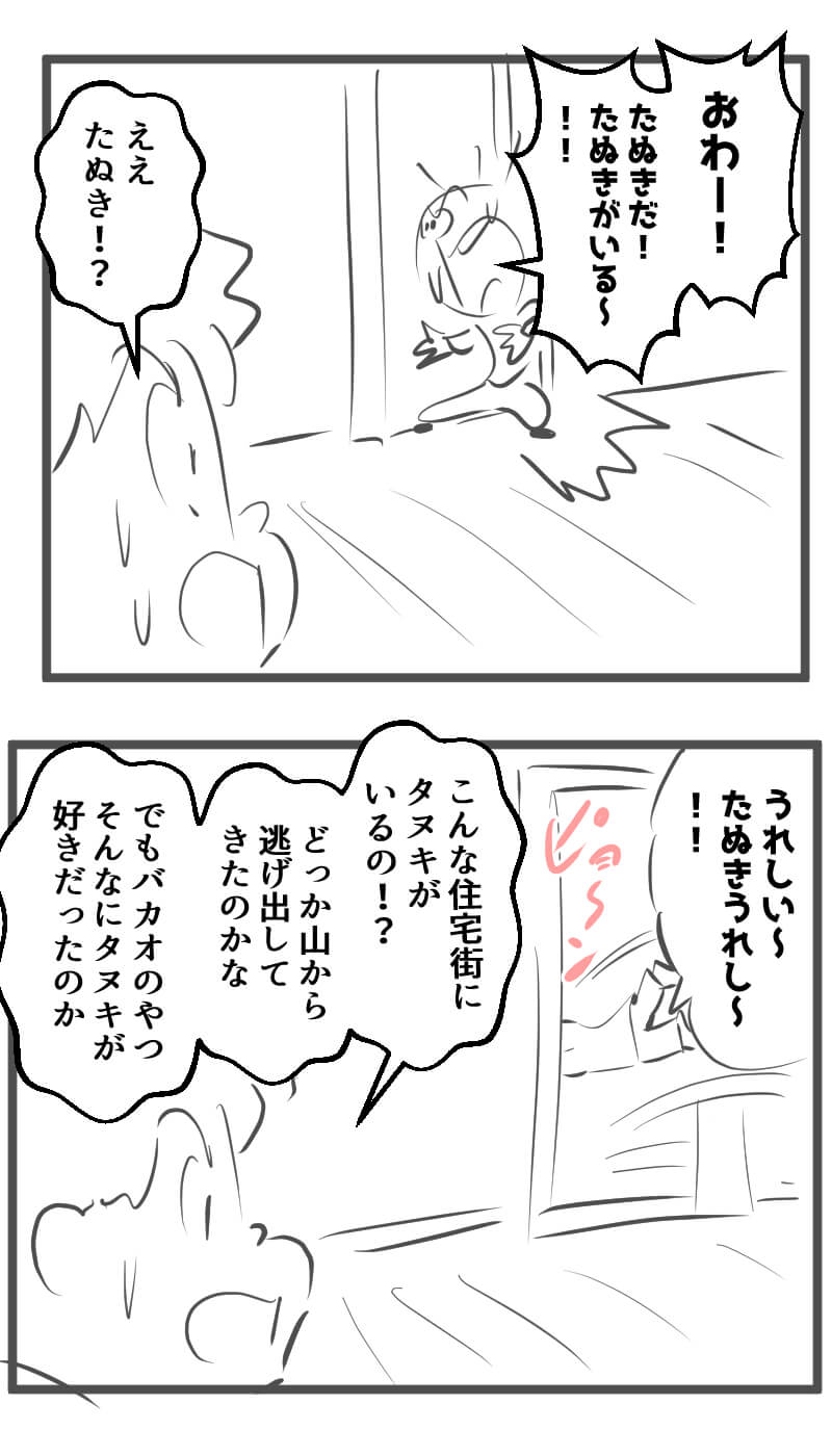 タヌキ,4コマ漫画
