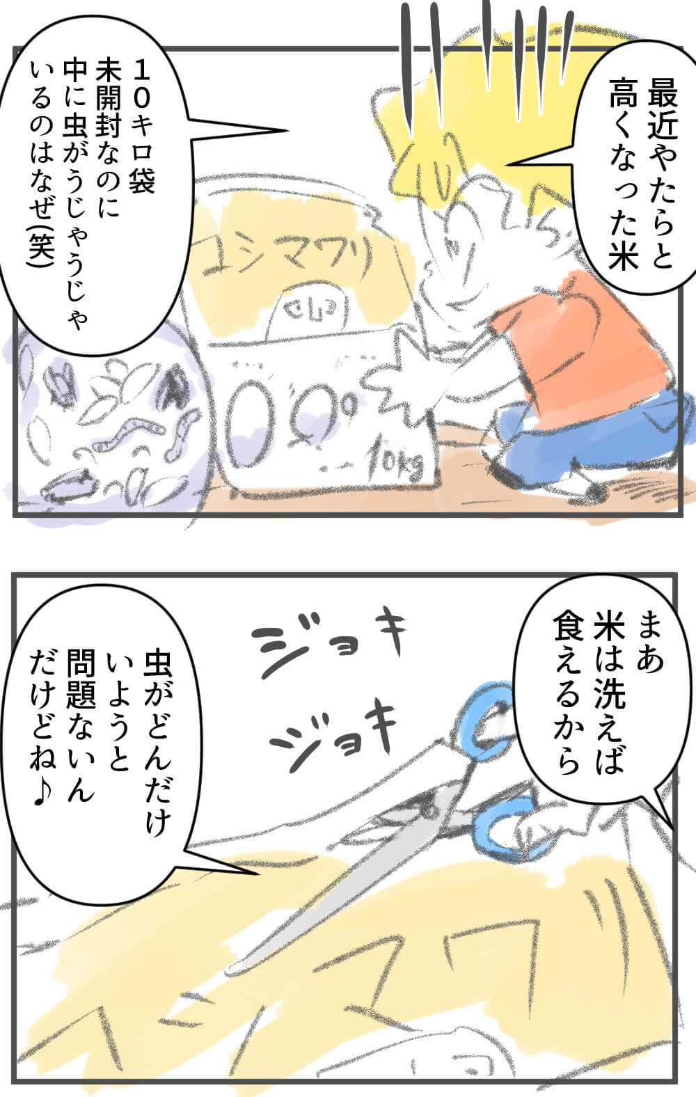 米袋,絵日記