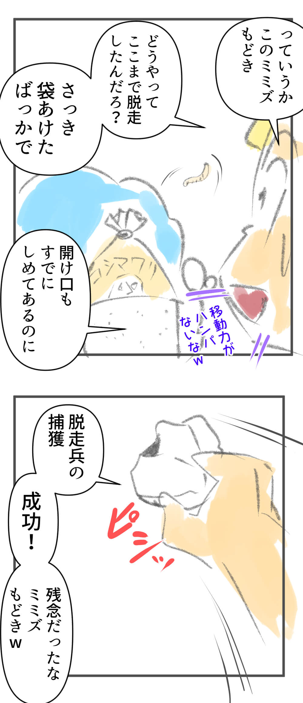 米袋,絵日記