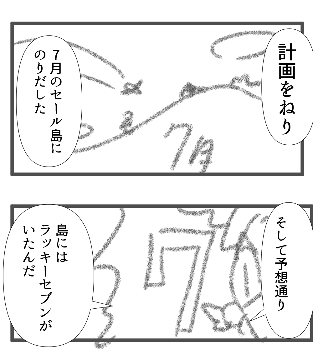 MVSX作戦