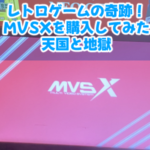 MVSX6回目完成サムネ